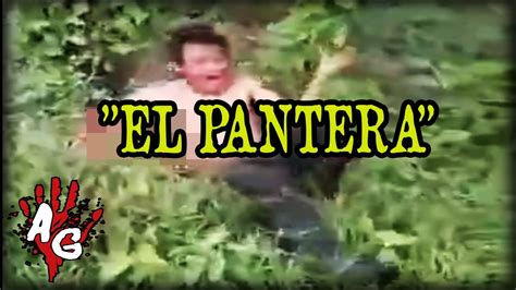 el pantera seegore